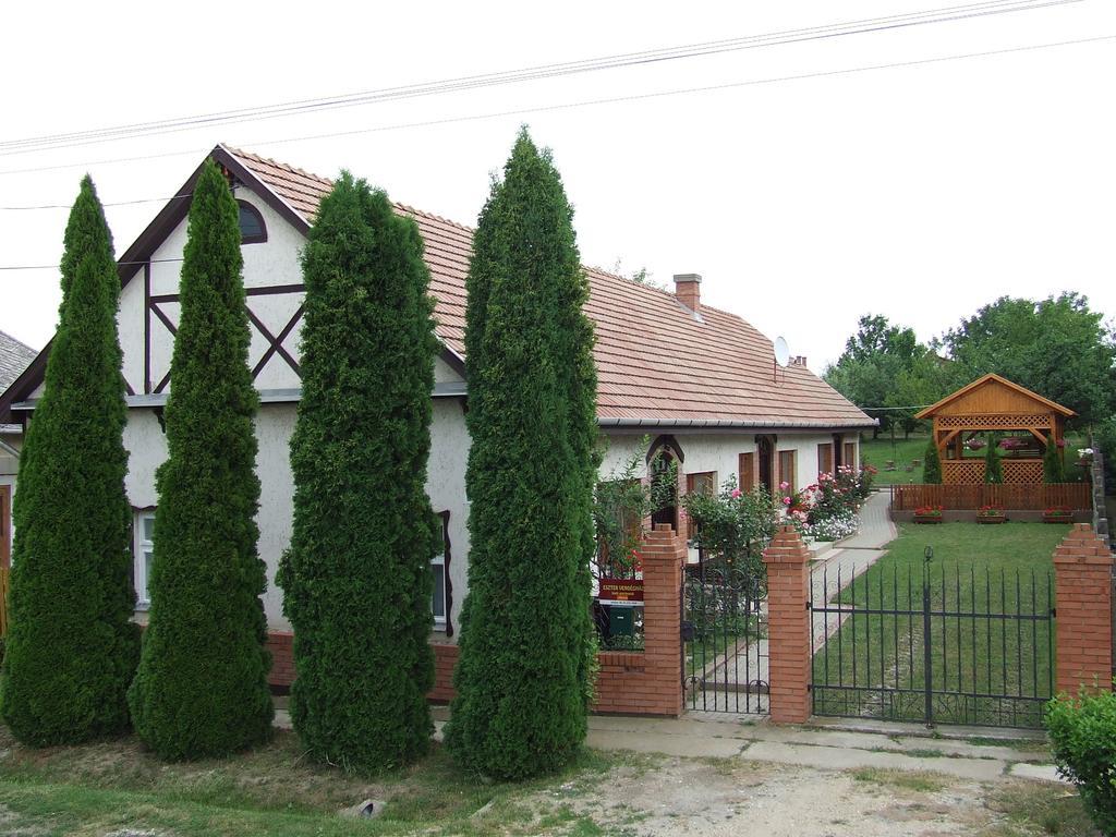 Eszter Vendeghaz *